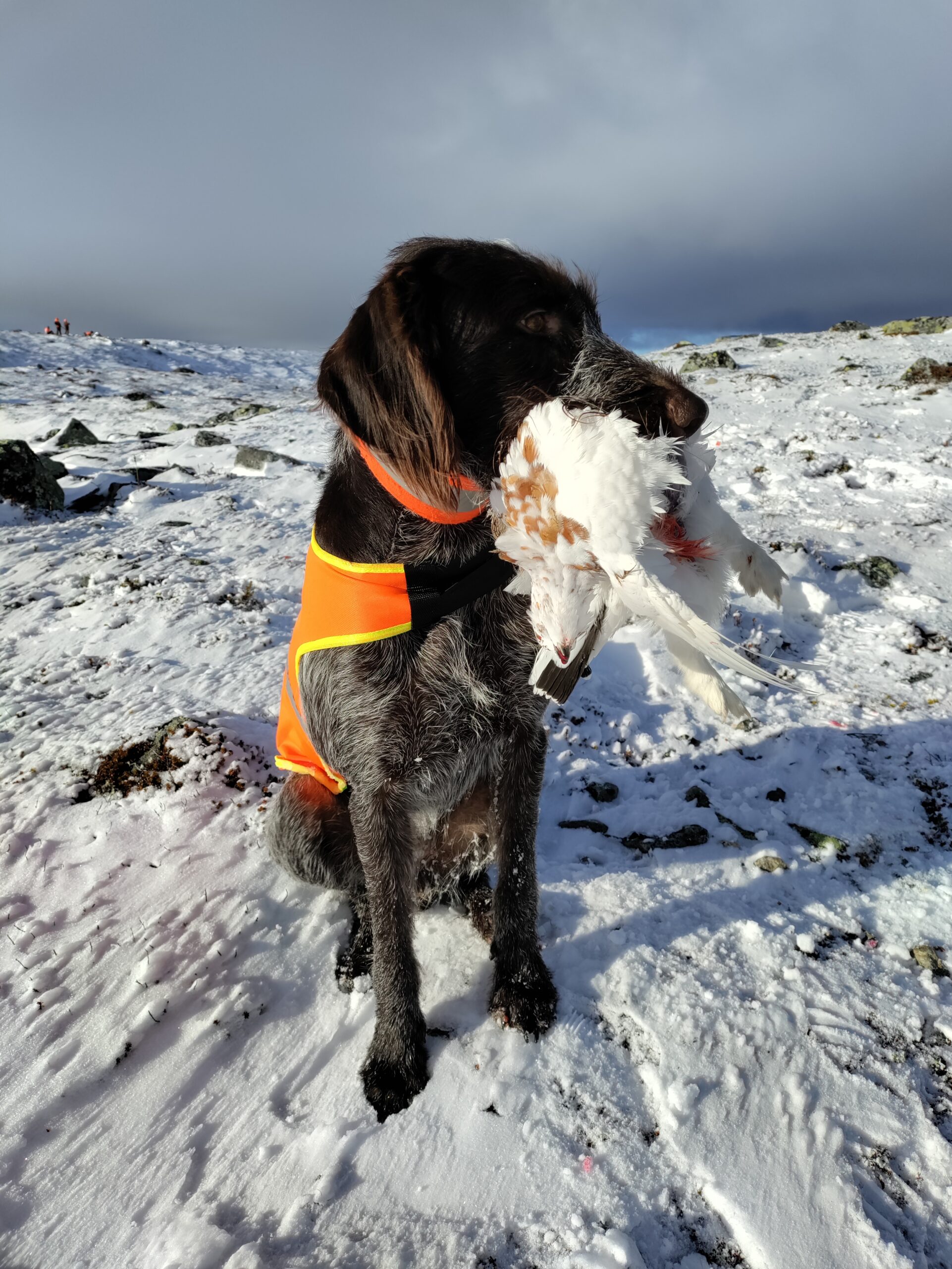 Rype1IMG_20211018_114020