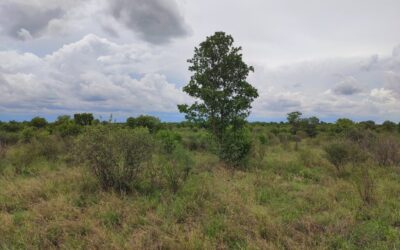 2683 hektar farm – Hainaveld, Botswana