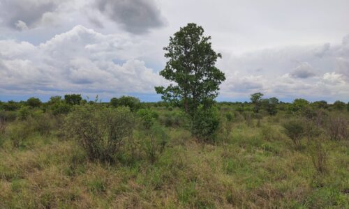 Solgt! 6400 hektar farm i Botswana