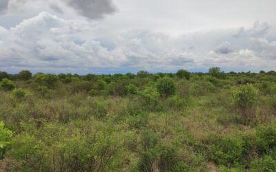 View over Farm 1-jpeg