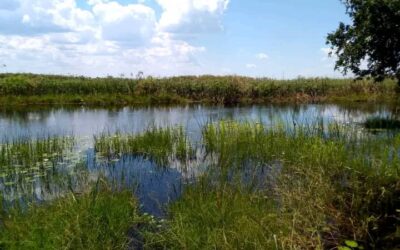 Delta Lodge view of water